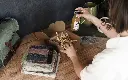 Coffret découverte